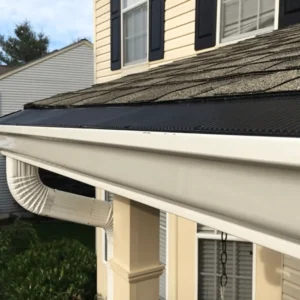 Gutter Services